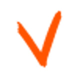 vAudience AI GmbH logo