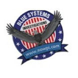 Blue Systems International