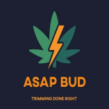 ASAP Bud