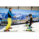 Ski Exercise Machine