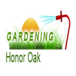 Gardening Honor Oak