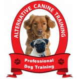 Alternative Canine Training