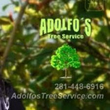 Adolfos Tree Services