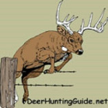 DeerHuntingGuide.net