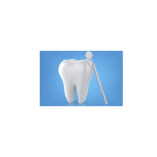 MODERN DENTAL AND ORO MAXILLOFACIAL CLINIC Best Dental Clinic in Dwarka