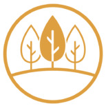 The Mind Heart Center SF