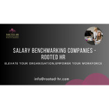 Salary Benchmarking Companies - Rooted HR