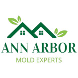 Ann Arbor Mold Remediation Solutions