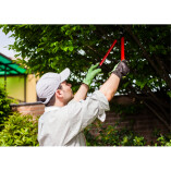 Waterway Tree Service