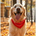 Golden Retriever T Shirt