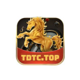 TDTC Top