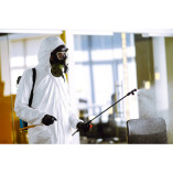 Mississauga Mold Removal