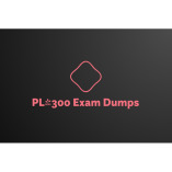 PL-300 Exam Dumps