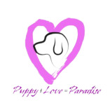 Puppy Love Paradise
