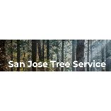 Tims Tree Service San Jose
