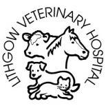 Lithgow Veterinary Hospital