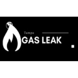 Gas Leak Repair Tampa FL