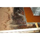 Water Damage Experts of Jupiter