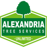 Alexandria Trees & Stumps