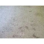 Carpet Cleaning Mount Barker