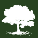 GREENS Immobilien Ratingen logo