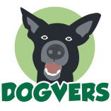 DOGVERS GmbH - Absicherung für alle Felle logo