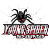 Young Spider SEO And Digital Marketing