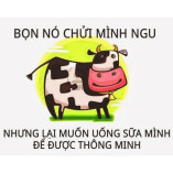 Tam Thuan