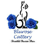 Blu Rose Cattery