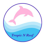 Tropic N Reef Aquariums