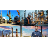 Willow Lake Metis Group