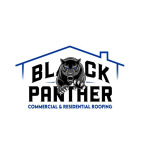 Black Panther Roofing