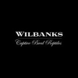 Wilbanks Captive Bred Reptiles