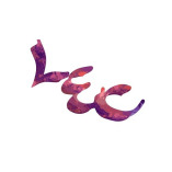 Life Enhancement Coaching