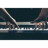 Pianoland Pianos For Sale