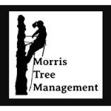 Morris Tree Management