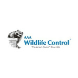 AAA WILDLIFE CONTROL