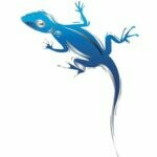 Blue Lizard concrete & line pumping