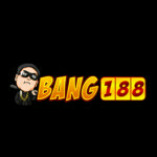 bang188vision