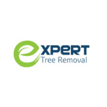 Expert Tree Removal