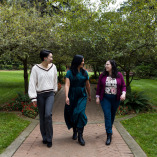 Stella Nova Psychology