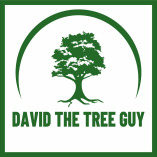 David The Tree Guy