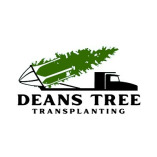 Deans Tree Transplanting