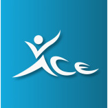 Ace Volleyball Academy