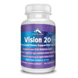 Vision 20