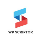 WP Scriptor