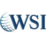 WSI - Vera Group Marketing