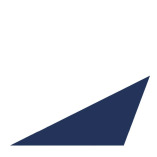 Birnbreier Consulting logo