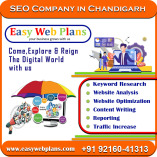 SEO Company In Chandigarh