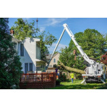 Foothill Tree Service